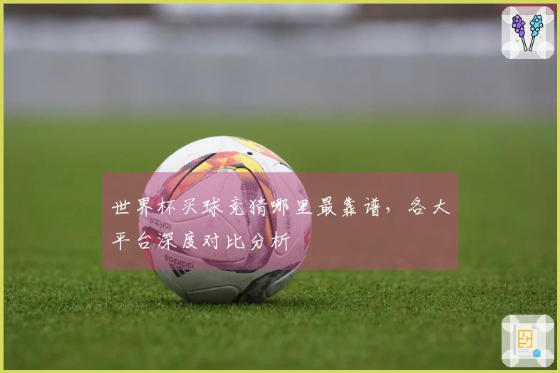 世界杯买球竞猜哪里最靠谱，各大平台深度对比分析