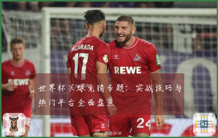 世界杯买球竞猜专题：实战技巧与热门平台全面盘点