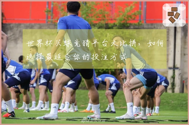 世界杯买球竞猜平台大比拼，如何选择最适合你的投注方式