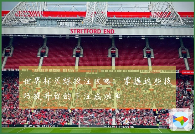 世界杯买球投注攻略：掌握这些技巧提升你的下注成功率