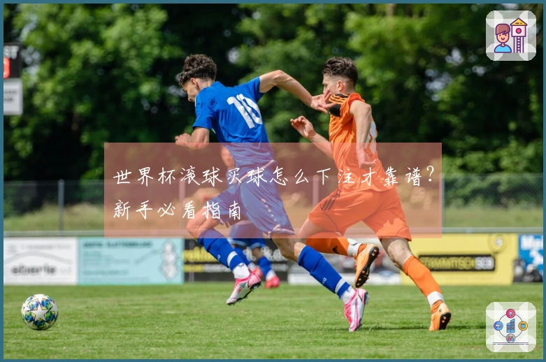 世界杯滚球买球怎么下注才靠谱？新手必看指南