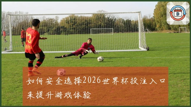 如何安全选择2026世界杯投注入口来提升游戏体验