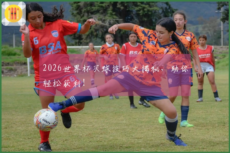 2026世界杯买球技巧大揭秘，助你轻松获利！