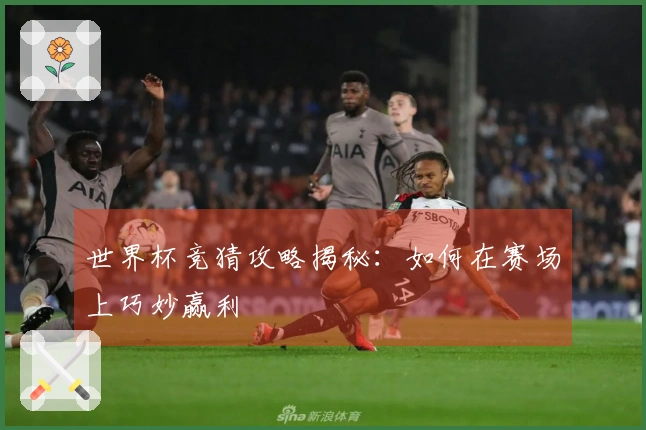 世界杯竞猜攻略揭秘：如何在赛场上巧妙赢利